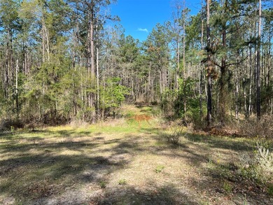 74-acre vacant wooded land for sale in Smith County, East TX - photo 10