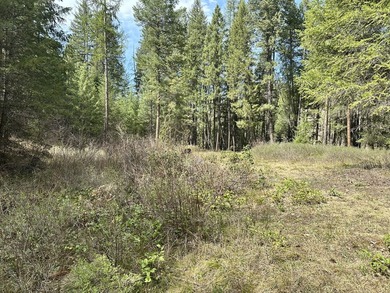 Price reduced! Seller is motivated, contingencies welcome for - photo 59