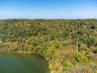 Large Acreage for Sale at Piedmont Lake - photo 20