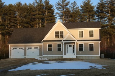 Welcome to The Fields at Mill Pond! This new construction home - photo 1