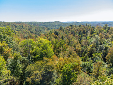 Large Acreage for Sale at Piedmont Lake - photo 24