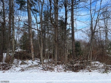 Holiday Lakes Lot For Sale in Montague Twp. New Jersey