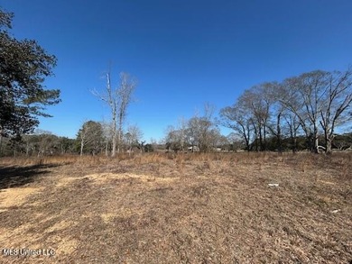 Fantastic 91 acre property in Sandy Hook, MS offering the - photo 14