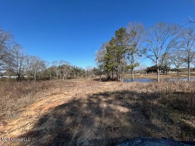 Fantastic 91 acre property in Sandy Hook, MS offering the - photo 16
