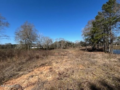 Fantastic 91 acre property in Sandy Hook, MS offering the - photo 17