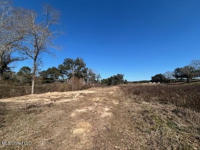 Fantastic 91 acre property in Sandy Hook, MS offering the - photo 20