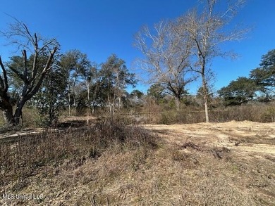 Fantastic 91 acre property in Sandy Hook, MS offering the - photo 21