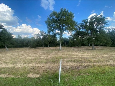 (private lake, pond, coastal) Acreage For Sale in Iola Texas