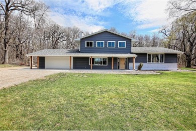 Lake Home For Sale in Wyoming, Minnesota