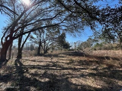 Fantastic 91 acre property in Sandy Hook, MS offering the - photo 24