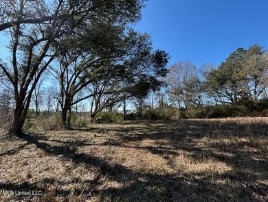 Fantastic 91 acre property in Sandy Hook, MS offering the - photo 25