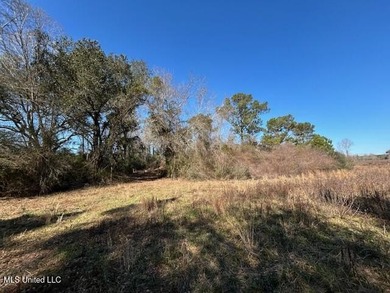 Fantastic 91 acre property in Sandy Hook, MS offering the - photo 26