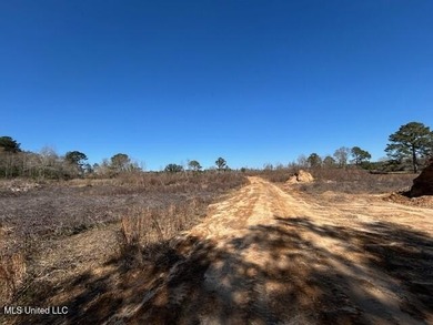 Fantastic 91 acre property in Sandy Hook, MS offering the - photo 29