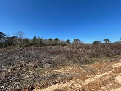 Fantastic 91 acre property in Sandy Hook, MS offering the - photo 30