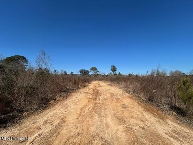 Fantastic 91 acre property in Sandy Hook, MS offering the - photo 31