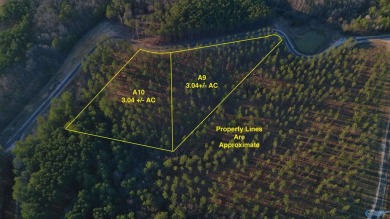 Lake Acreage For Sale in Centre, Alabama