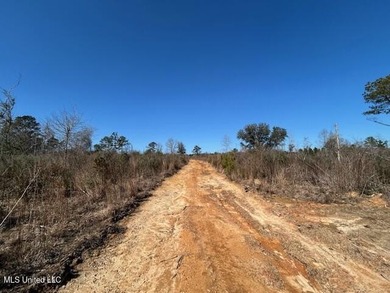 Fantastic 91 acre property in Sandy Hook, MS offering the - photo 33