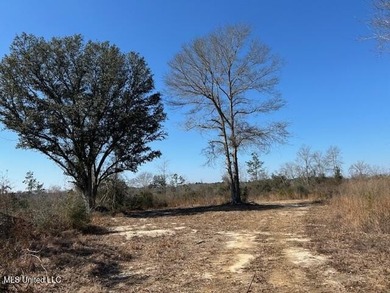 Fantastic 91 acre property in Sandy Hook, MS offering the - photo 35