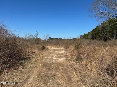 Fantastic 91 acre property in Sandy Hook, MS offering the - photo 36