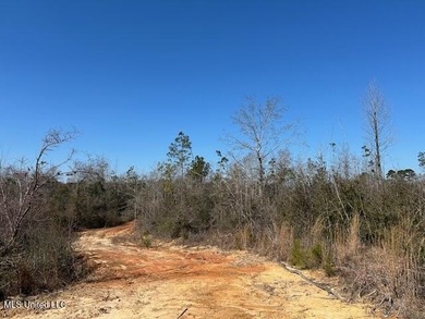 Fantastic 91 acre property in Sandy Hook, MS offering the - photo 37
