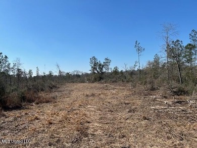 Fantastic 91 acre property in Sandy Hook, MS offering the - photo 38