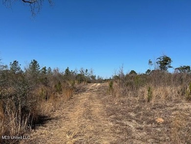 Fantastic 91 acre property in Sandy Hook, MS offering the - photo 39