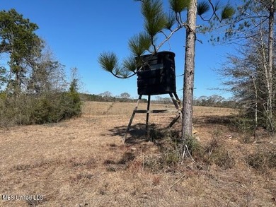 Fantastic 91 acre property in Sandy Hook, MS offering the - photo 41