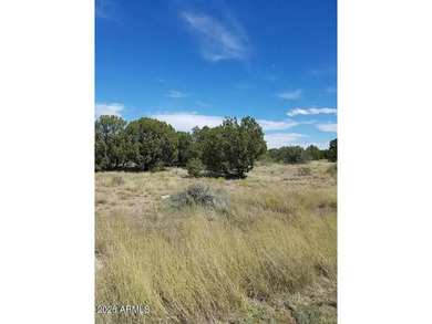White Mountain Lake Lot For Sale in Show Low Arizona