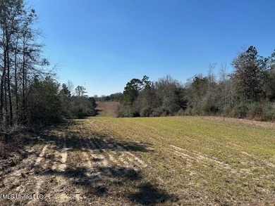 Fantastic 91 acre property in Sandy Hook, MS offering the - photo 42