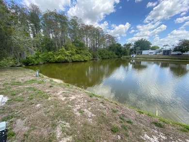 **Located in an active, resort style, pet friendly, land leased - photo 2