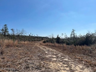 Fantastic 91 acre property in Sandy Hook, MS offering the - photo 43