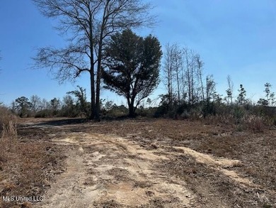 Fantastic 91 acre property in Sandy Hook, MS offering the - photo 46