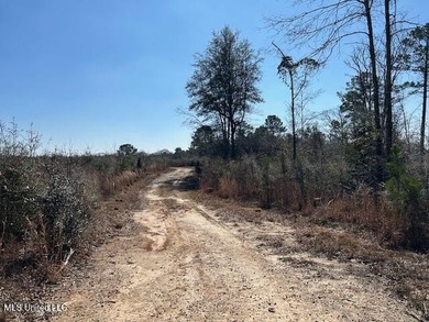 Fantastic 91 acre property in Sandy Hook, MS offering the - photo 47