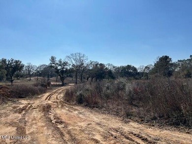 Fantastic 91 acre property in Sandy Hook, MS offering the - photo 48