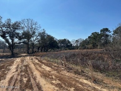 Fantastic 91 acre property in Sandy Hook, MS offering the - photo 49