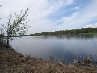 Discover a rare opportunity to own this 3.6 acre wooded parcel - photo 2