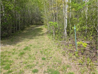 Discover a rare opportunity to own this 3.6 acre wooded parcel - photo 4