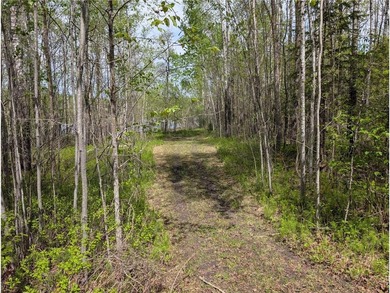 Discover a rare opportunity to own this 3.6 acre wooded parcel - photo 5