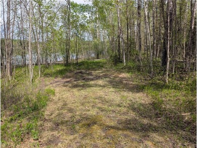 Discover a rare opportunity to own this 3.6 acre wooded parcel - photo 6