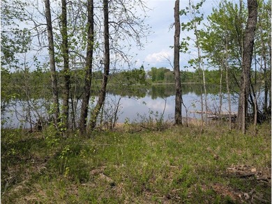 Discover a rare opportunity to own this 3.6 acre wooded parcel - photo 7
