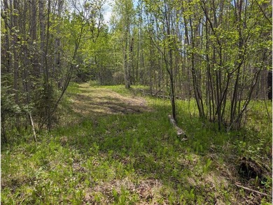 Discover a rare opportunity to own this 3.6 acre wooded parcel - photo 9