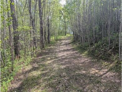 Discover a rare opportunity to own this 3.6 acre wooded parcel - photo 10