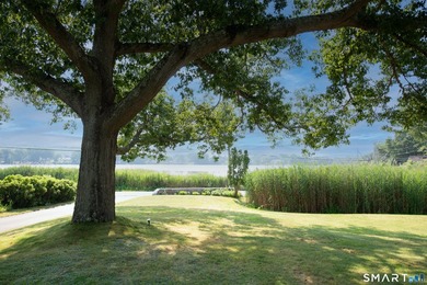 Mystic at it's best along the upper Mystic River...so peaceful - photo 6