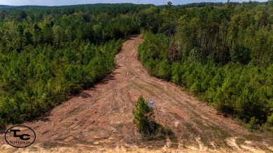 (private lake, pond, creek) Acreage For Sale in Henderson Tennessee