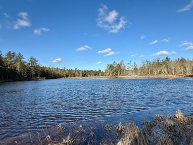 Located in the Town of Wawarsing, this 23.1-acre property offers - photo 1