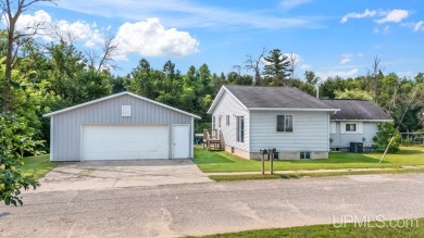 Lake Home For Sale in Spalding, Michigan