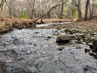 Located in the Town of Wawarsing, this 23.1-acre property offers - photo 2