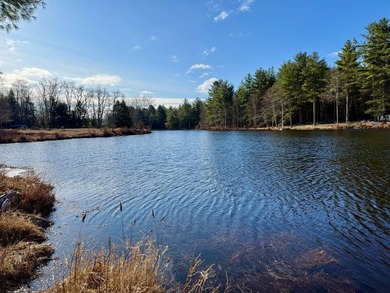 Located in the Town of Wawarsing, this 23.1-acre property offers - photo 4