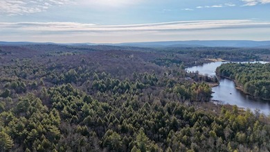 Located in the Town of Wawarsing, this 23.1-acre property offers - photo 5