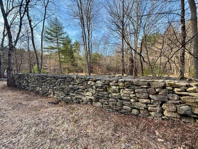 Located in the Town of Wawarsing, this 23.1-acre property offers - photo 8